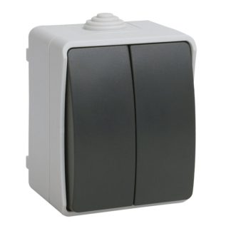 ФОРС Выключатель двухклавишный наружный IP54 EVS20-K03-10-54-DC IEK