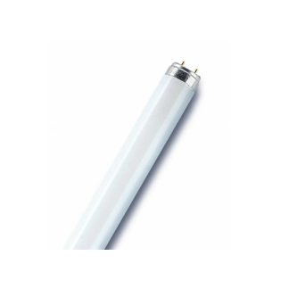 Лампа люминесцентная L 36W/765 36Вт T8 6500К G13 смол. OSRAM 4008321959836